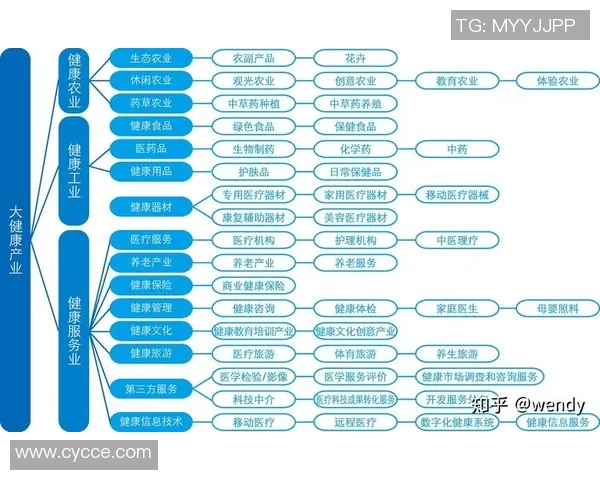 足球大伤病困扰球队前景分析及应对策略探讨
