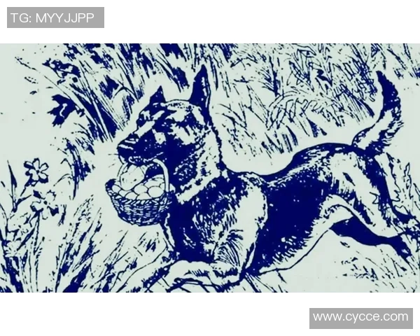 足球黑狗的传奇故事与背后不为人知的秘密揭秘